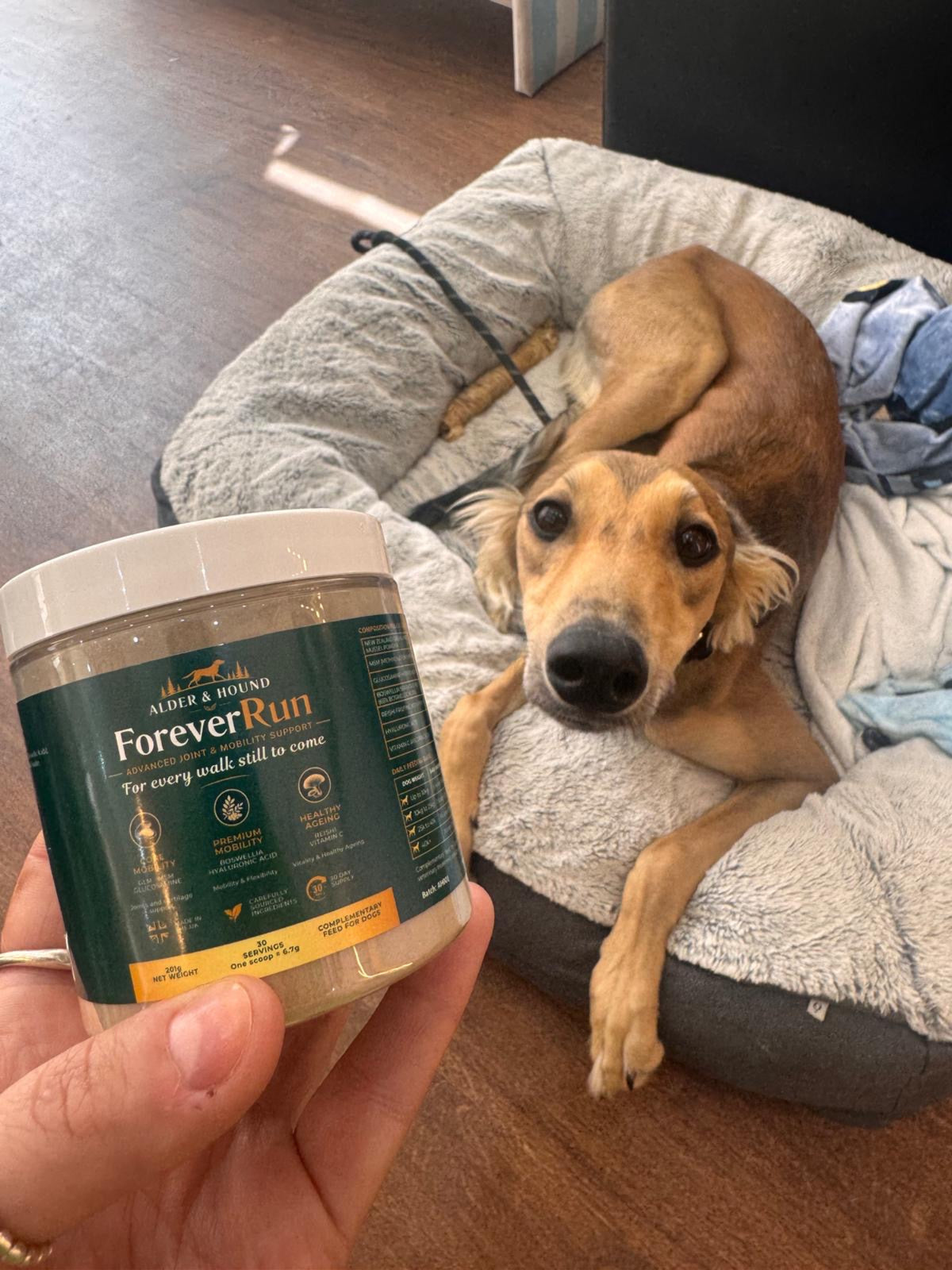 ForeverRun Joint support for Dogs